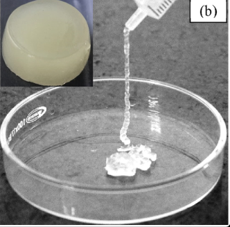 Injectable Hydrogel Scaffold