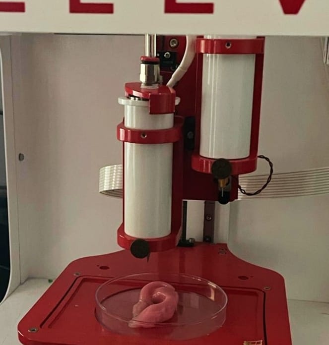 Bioprinting Tissues using Novel Bioink